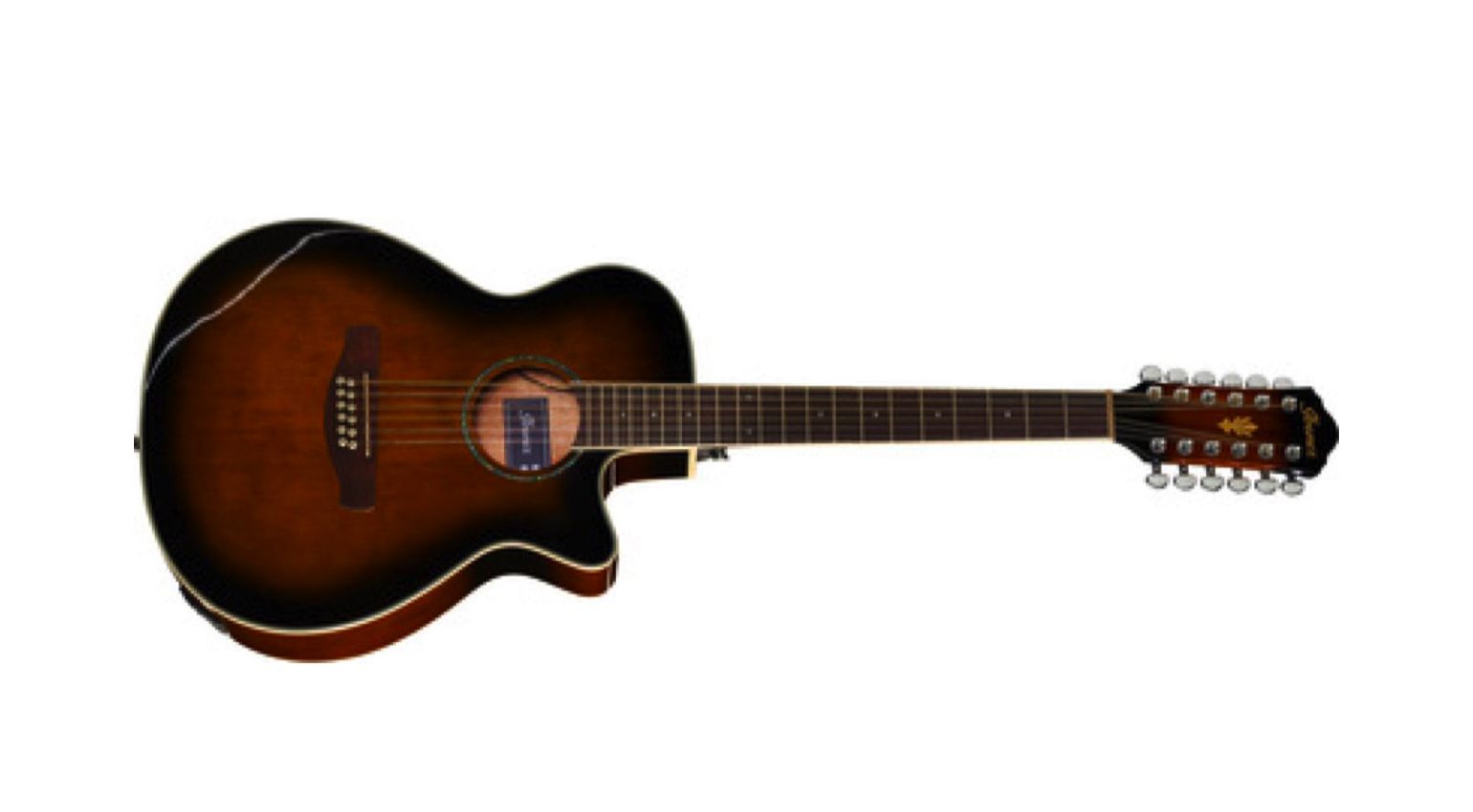 Ibanez AEG 1812 Acoustic Guitar
